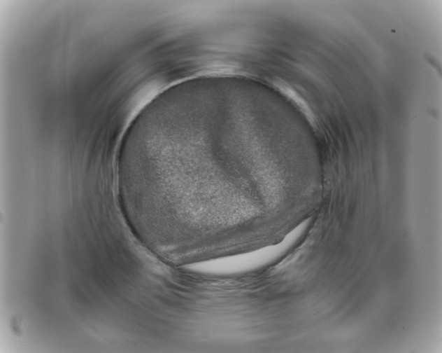 X0000097781467200803211748