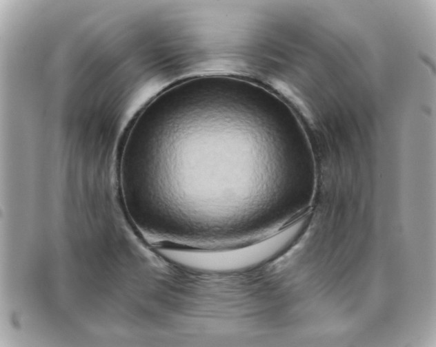 X0000097781469200803211748