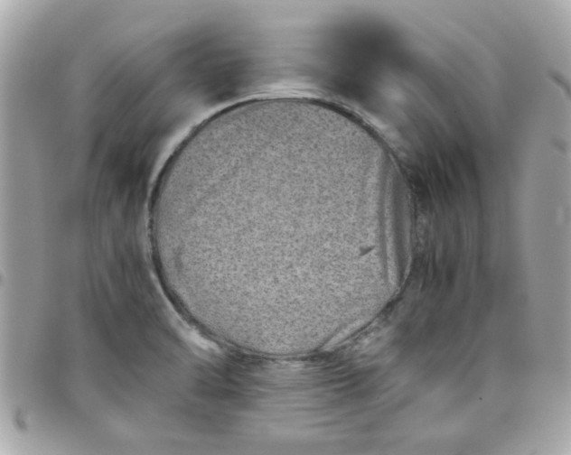 X0000097781470200803211748