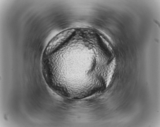 X0000097781471200803211748