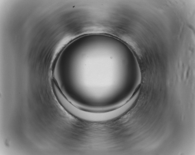 X0000097781472200803211748