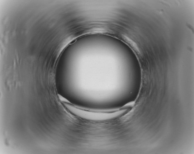 X0000097781473200803211748