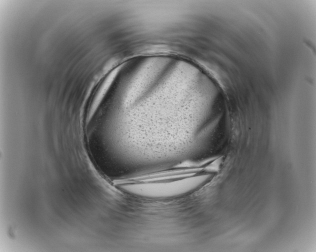 X0000097781475200803211748