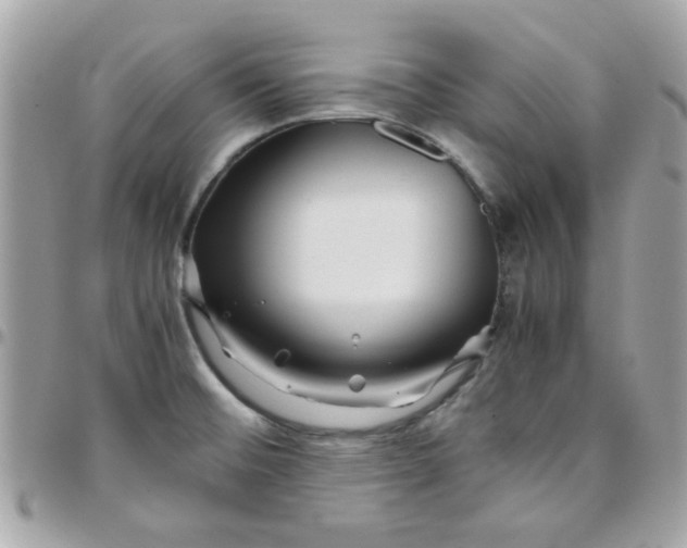 X0000097781476200803211748