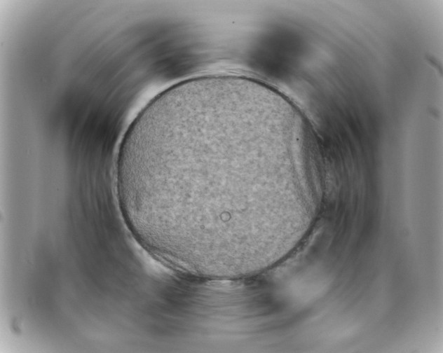 X0000097781478200803211748