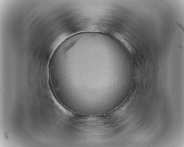 X0000097781479200803211748