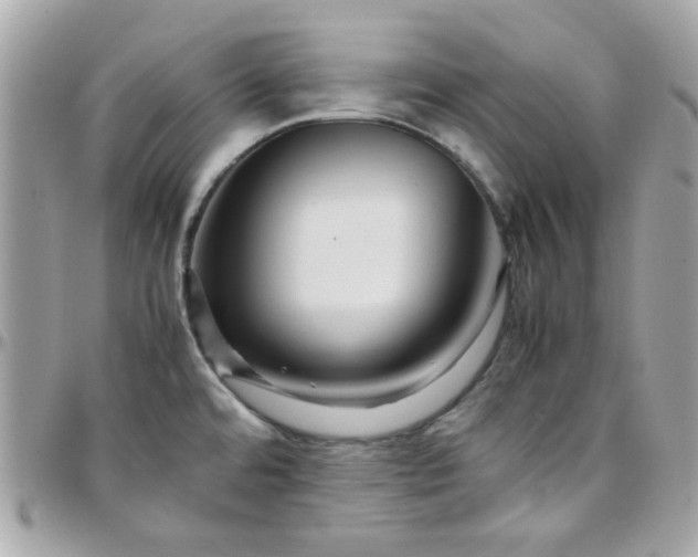 X0000097781480200803211748