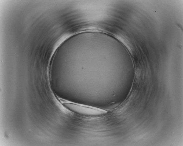 X0000097781482200803211747