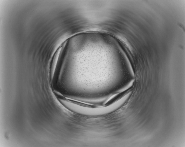 X0000097781483200803211747