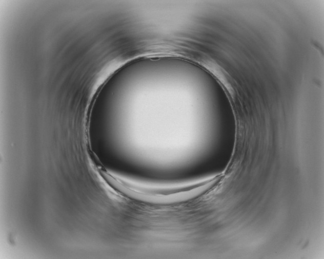 X0000097781485200803211747