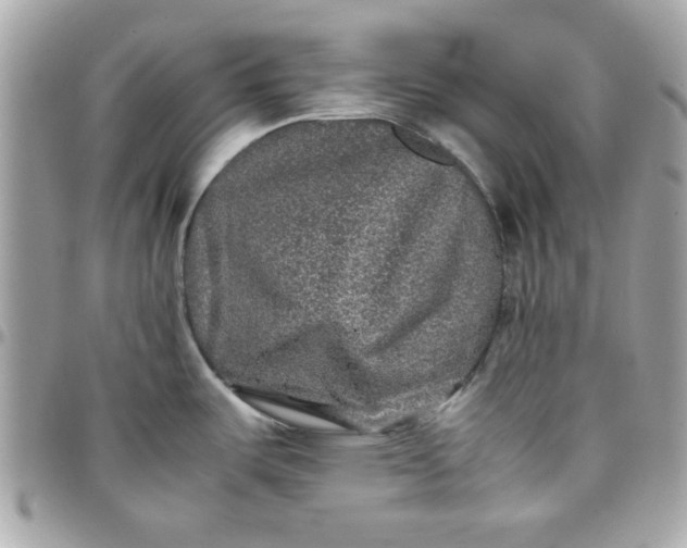 X0000097781487200803211747