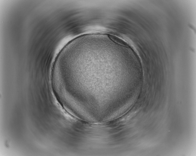 X0000097781488200803211747