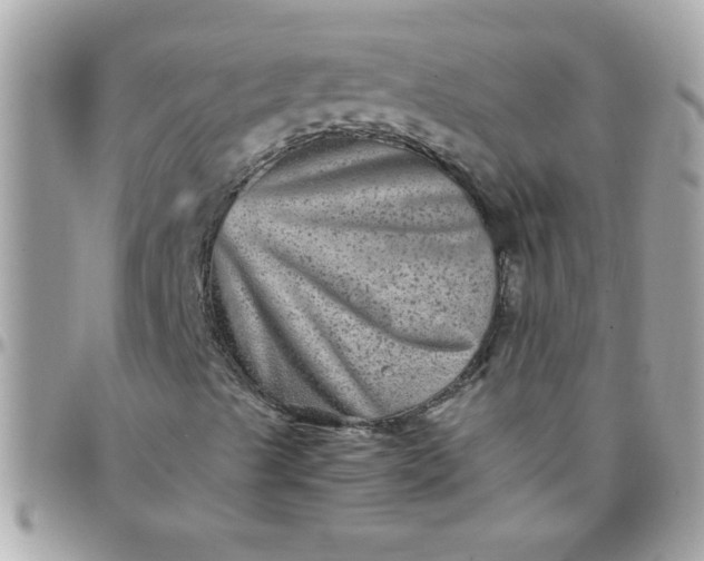 X0000097781489200803211747