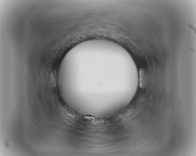 X0000097781491200803211747