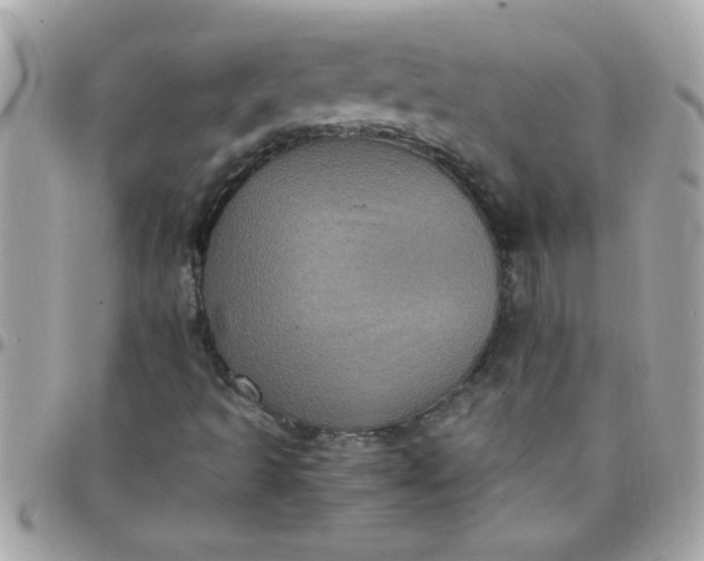 X0000097781493200803211747