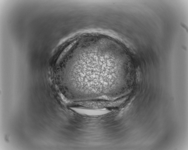 X0000097781494200803211747