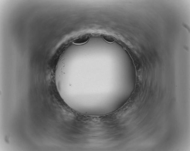 X0000097781495200803211747