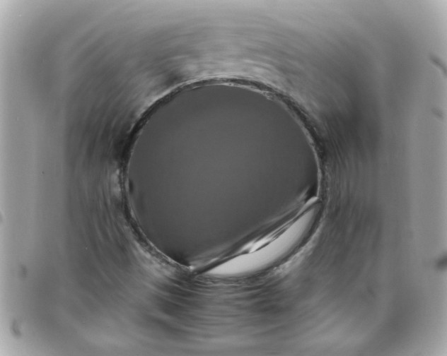 X0000097781497200803211747