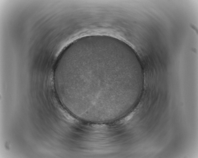 X0000097781498200803211747