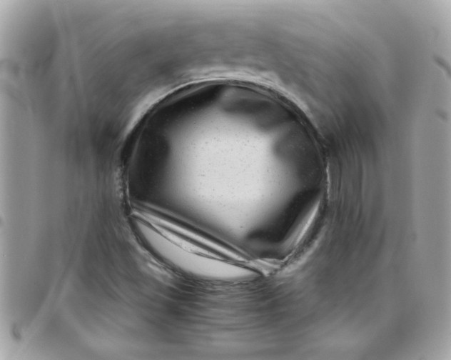 X0000097781501200803211747