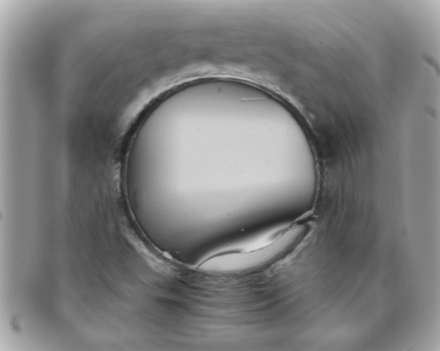 X0000097781503200803211747