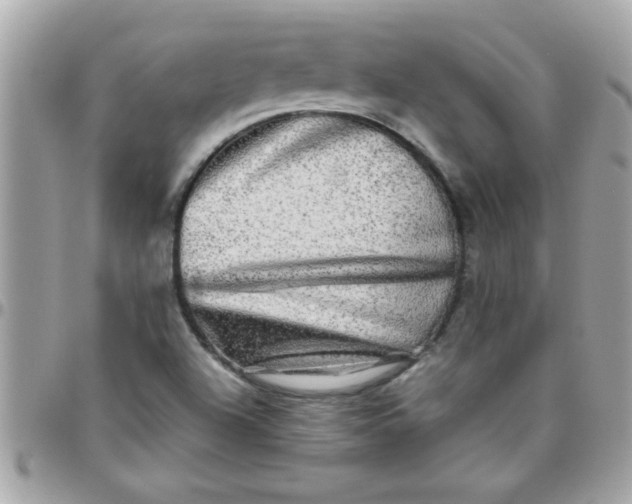 X0000097781504200803211747