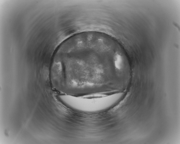 X0000097781505200803211747