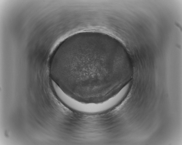 X0000097781506200803211747