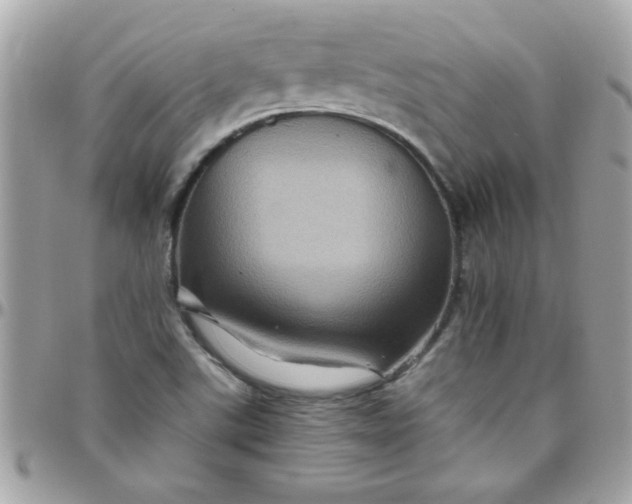 X0000097781507200803211747