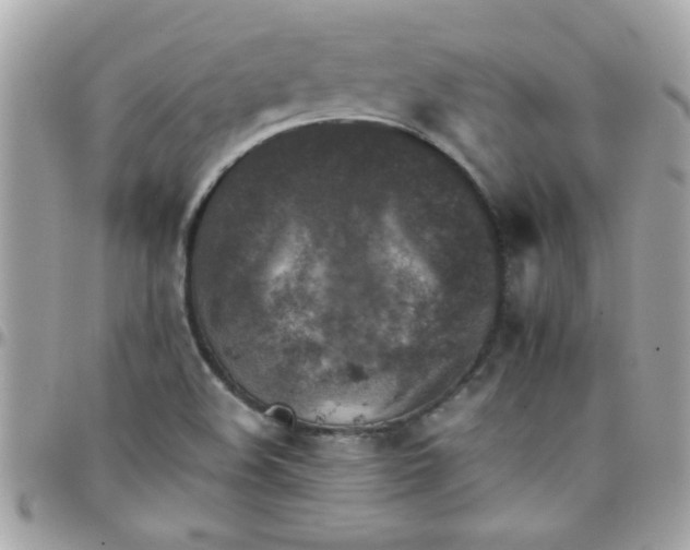 X0000097781508200803211747