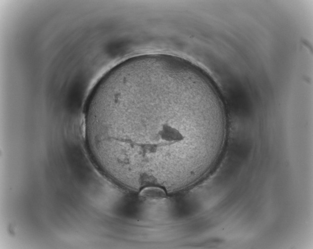 X0000097781509200803211747