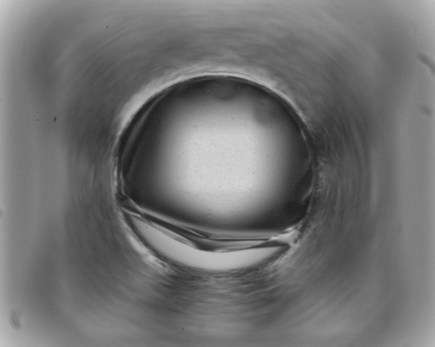 X0000097781511200803211747