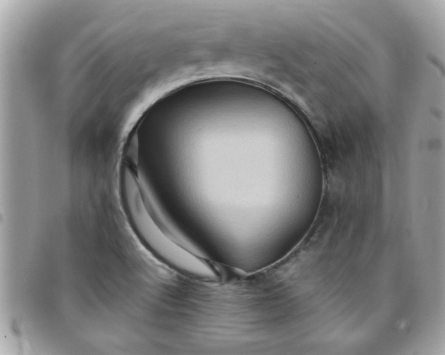 X0000097781512200803211747