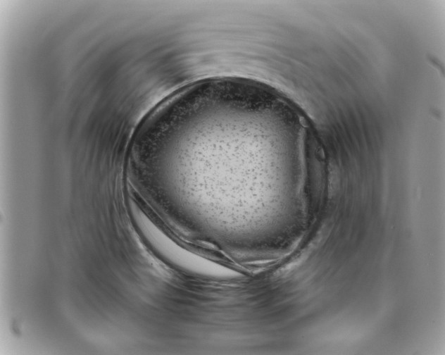 X0000097781513200803211747