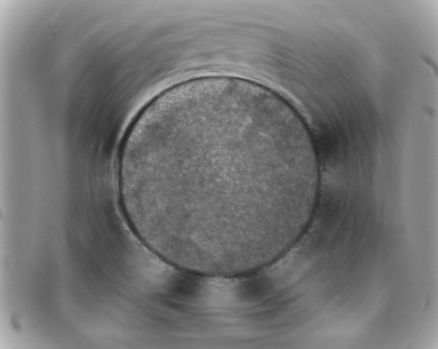 X0000097781514200803211747