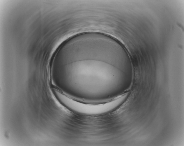 X0000097781515200803211747