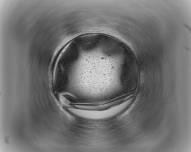 X0000097781517200803211747