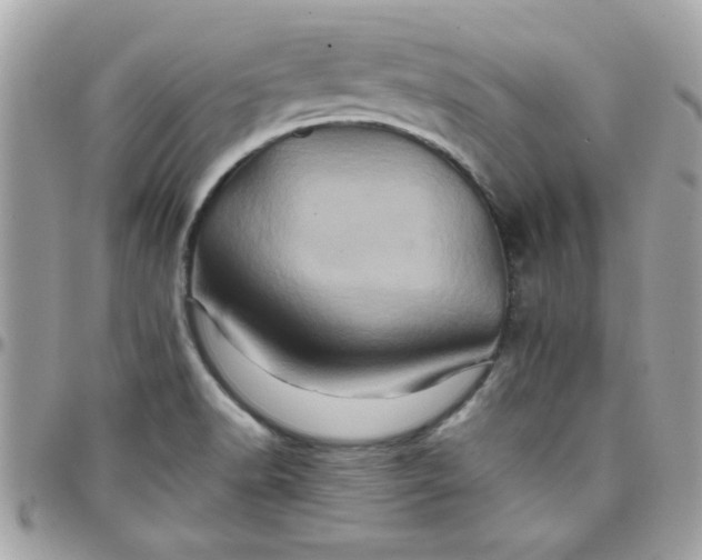 X0000097781518200803211747