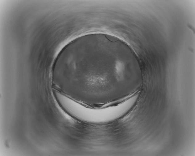 X0000097781519200803211747