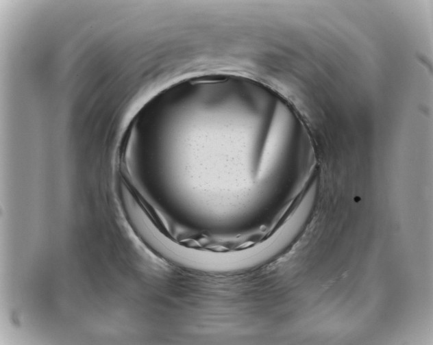 X0000097781520200803211747