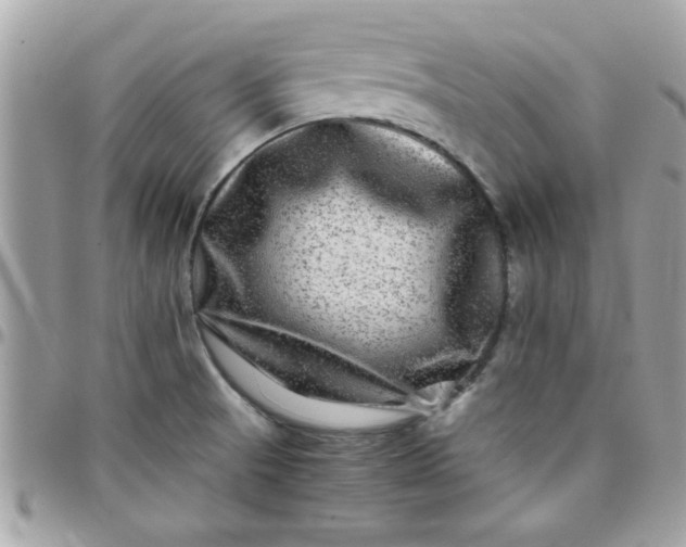 X0000097781521200803211747