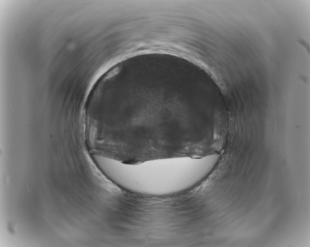 X0000097781522200803211747