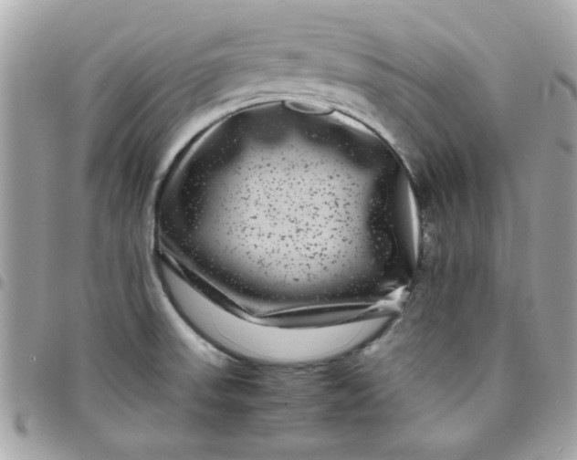 X0000097781523200803211747