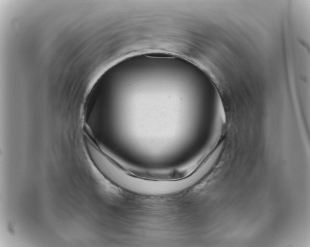 X0000097781524200803211747