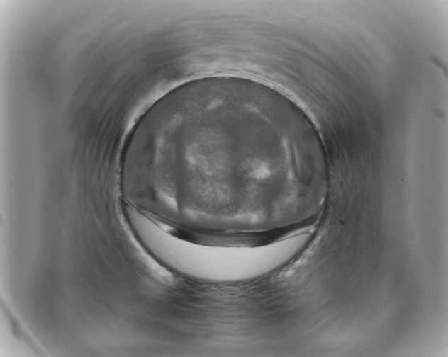 X0000097781525200803211747