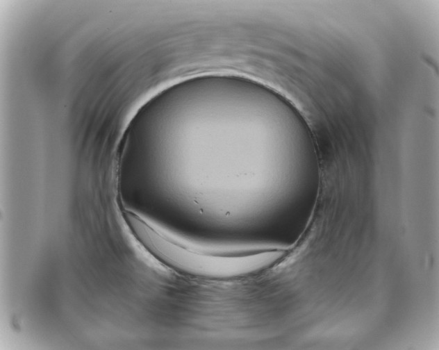 X0000097781526200803211747