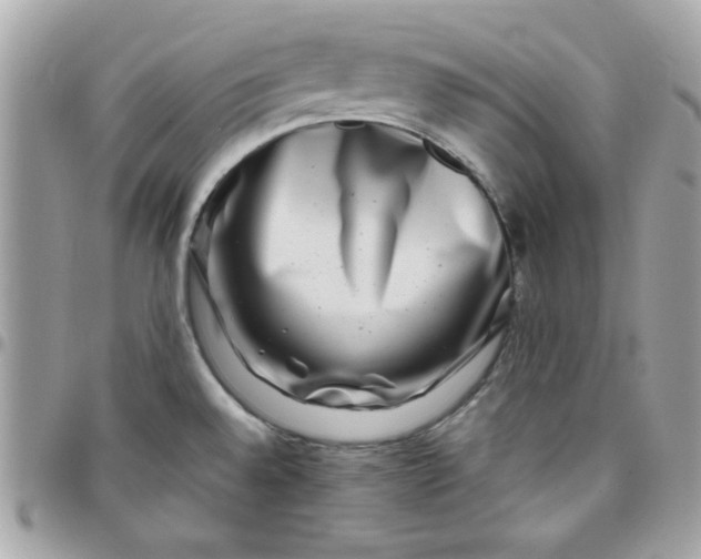 X0000097781528200803211747