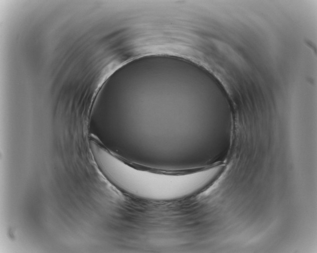 X0000097781529200803211747