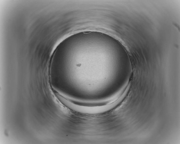 X0000097781530200803211747