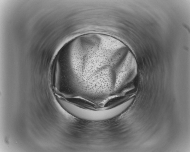 X0000097781531200803211747